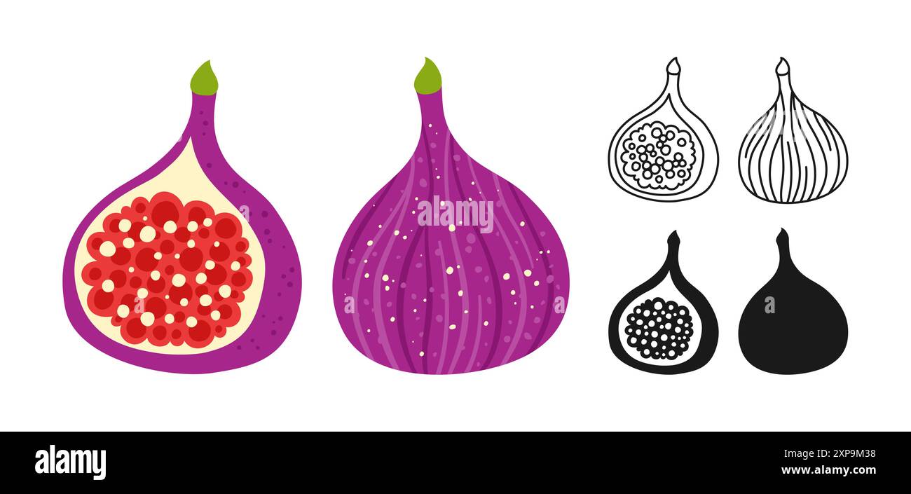 Fig.-Symbol-Zeichentrickset. Reife halbe und ganze Feigen kritzeln Symbol. Abstrakte kindliche handgezeichnete saftige lila exotische Frucht oder Beere. Einfache, stilisierte Zeichenform. Vektor trendige Clipart-Illustration Stock Vektor