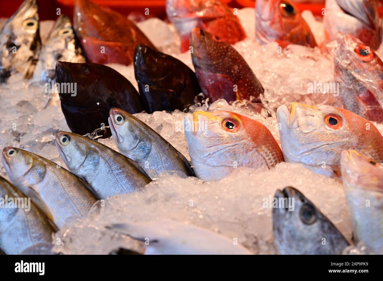 Erleben Sie die lebhafte Atmosphäre eines traditionellen Fischmarktes, auf dem frisch gefangener Fisch von Booten angeboten wird. Stockfoto