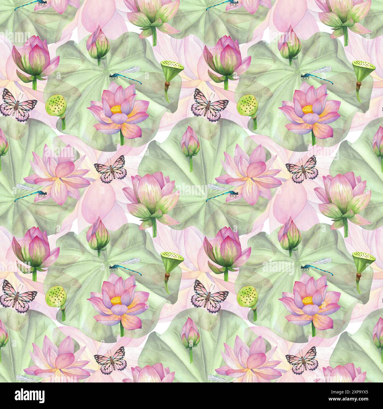 Rosa Lotusblüten, Seerose und Libelle mit Schmetterling. Aquarellabbildung nahtloses Muster auf weißem Hintergrund. Für Design und Dekor, fabri Stockfoto