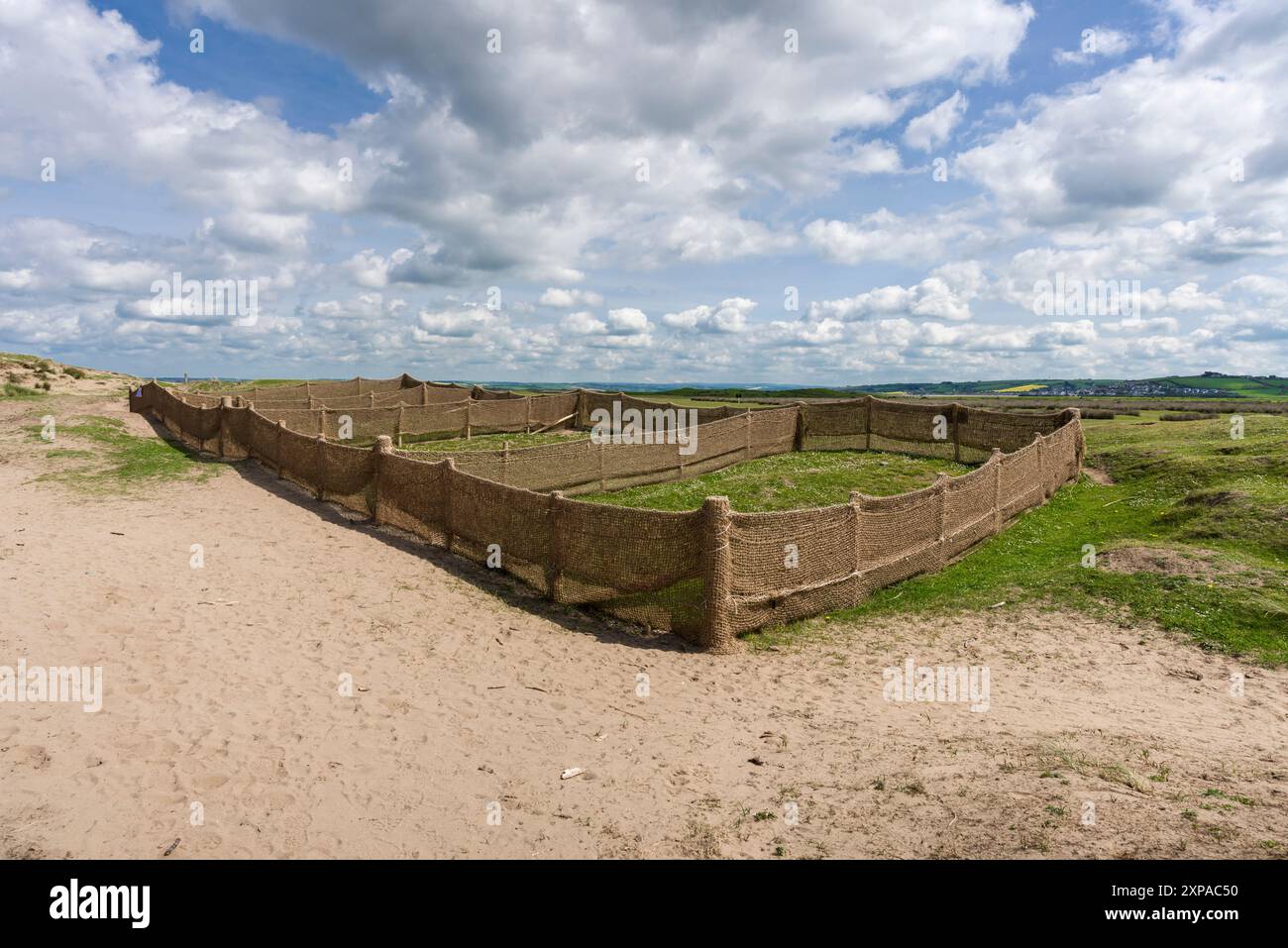 Ein Naturschutzprojekt im Northam Burrows Country Park, wo ein hessischer Zaun zum Sammeln von Sand verwendet wird, um die erodierten Sanddünen in der North Devon Coast National Landscape in England wiederaufzubauen. Stockfoto