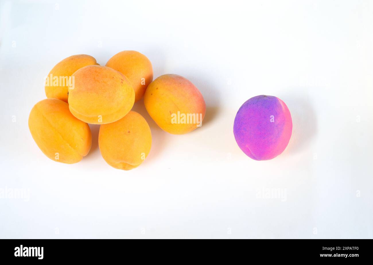 Geschäftsmetapher, Lösung, Innovation, Idee, Beratung, ein paar Aprikosen mit einer rosafarbenen Farbe, flacher Lay, guter Kopierraum Stockfoto