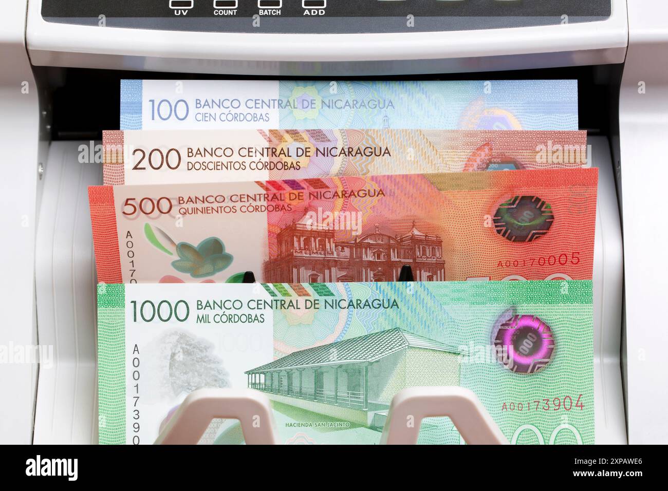 Nicaraguanisches Geld - cordoba in der Zählmaschine Stockfoto