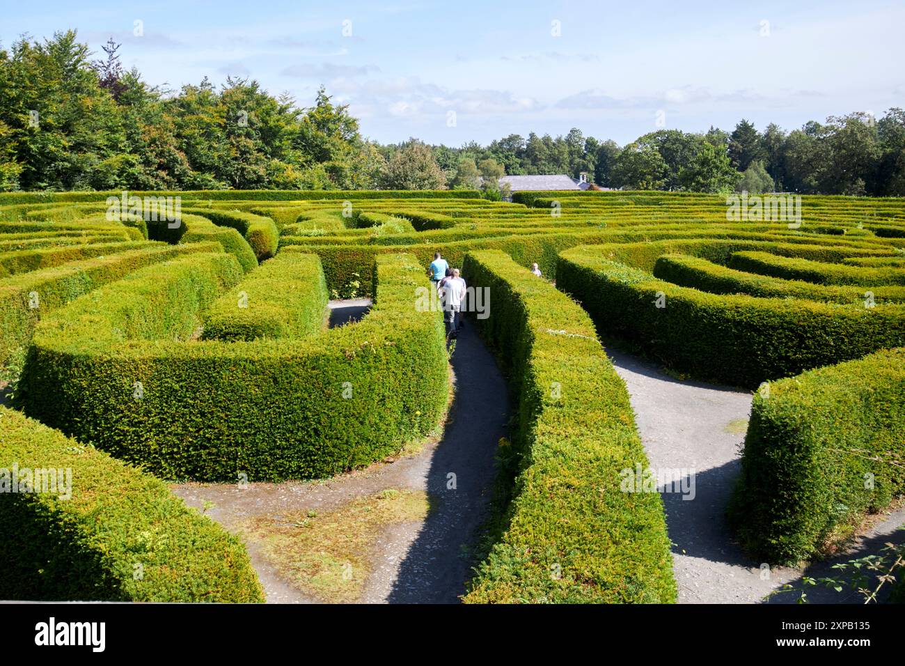 Peace Labyrinth Castlewellan County im Norden irlands großbritannien Stockfoto