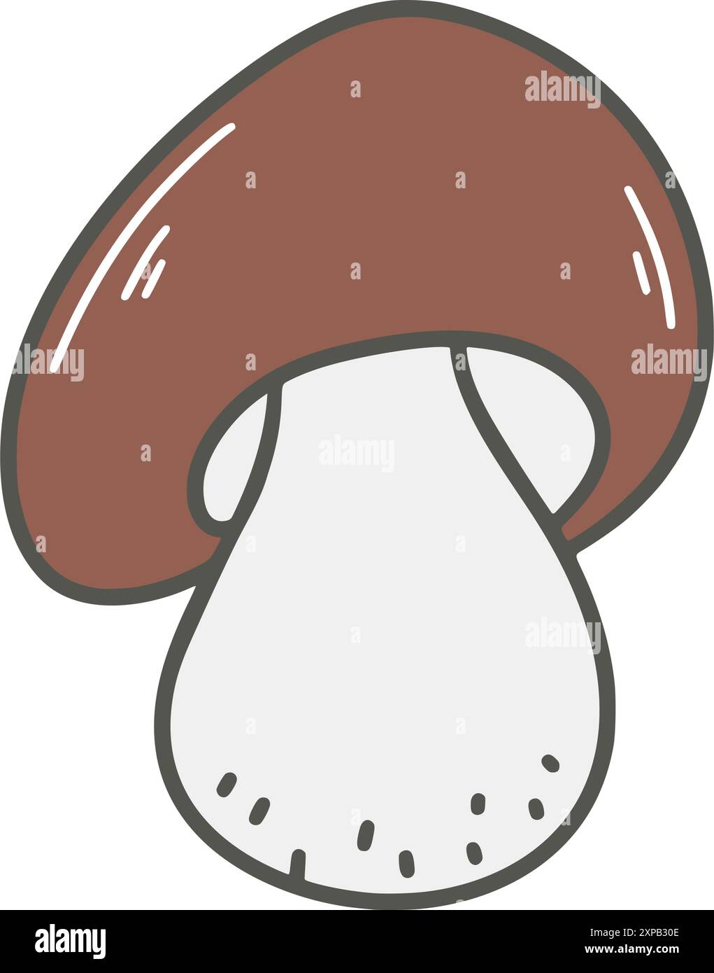 Handgezeichneter Boletus-Clip-Art-Illustration. Stachelschweine, essbarer Waldpilz, Vektorgrafik Stock Vektor