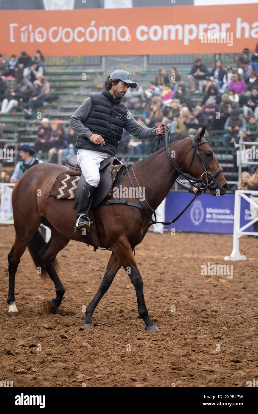 Ländliche Ausstellung von Kühen, Pferden, Schafen auf der Landausstellung Stockfoto