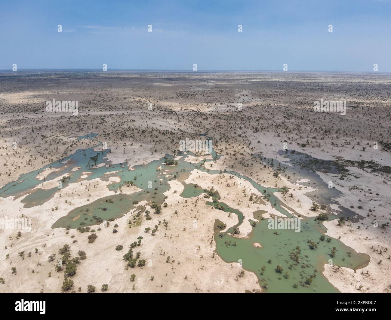 (240805) -- SHAYA COUNTY, 5. August 2024 (Xinhua) -- dieses am 1. August 2024 aufgenommene Luftdrohnenfoto zeigt das Hochwasser des Tarim-Flusses, das zur Bewässerung eines Waldes von Populus euphratica in Xayar County, Nordwestchinas autonomer Region Xinjiang Uygur, umgeleitet wurde. Die Wassermenge des Tarim River in der Autonomen Region Xinjiang Uygur, die von hohen Temperaturen und starken Regenfällen betroffen ist, übersteigt die Alarmstufe. Die örtlichen Behörden mobilisierten Notfallteams, die rund um die Uhr an den Hochwasserschutzlinien im Einsatz sind, und nutzten Wasserschutzeinrichtungen, um die öffentliche Sicherheit während des Maxi-Prozesses zu gewährleisten Stockfoto