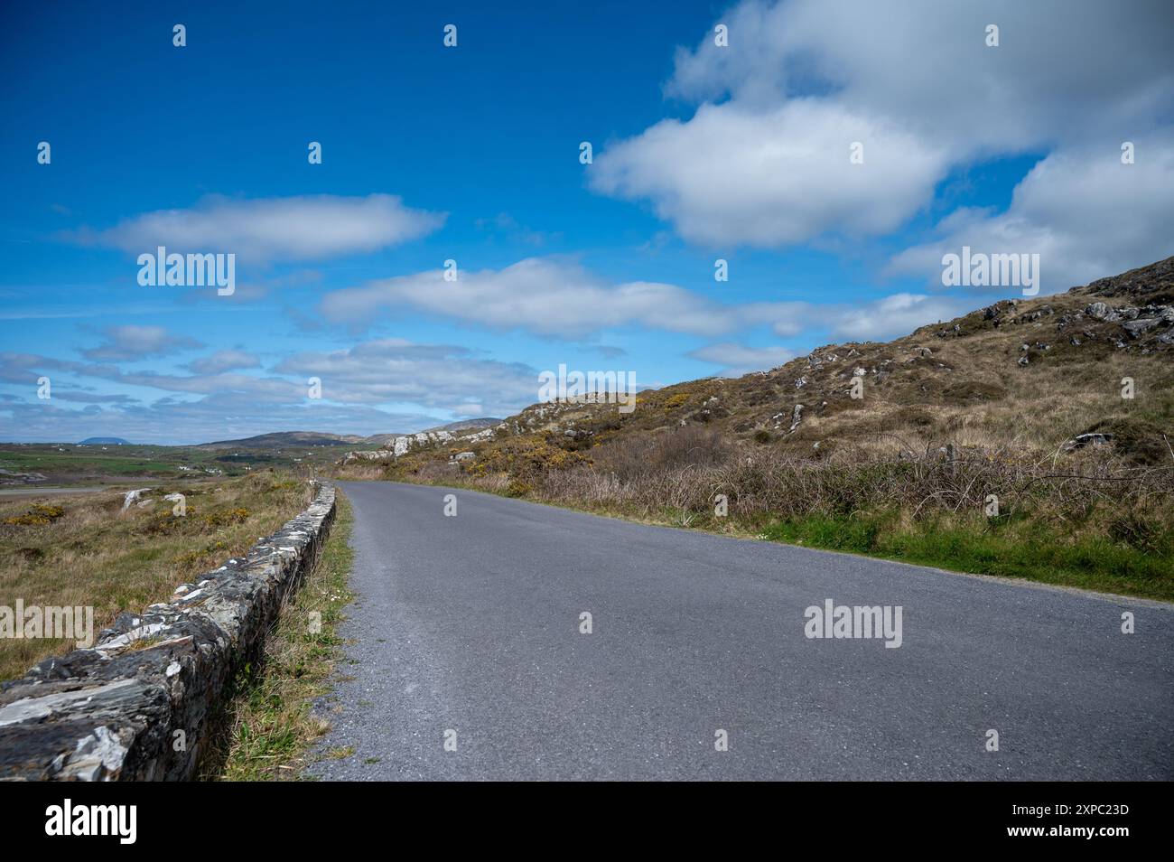 Sonniger Tag in der Gerste Stockfoto