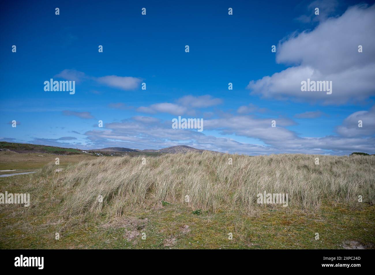 Dünen in Barly Cove Long Gras Stockfoto