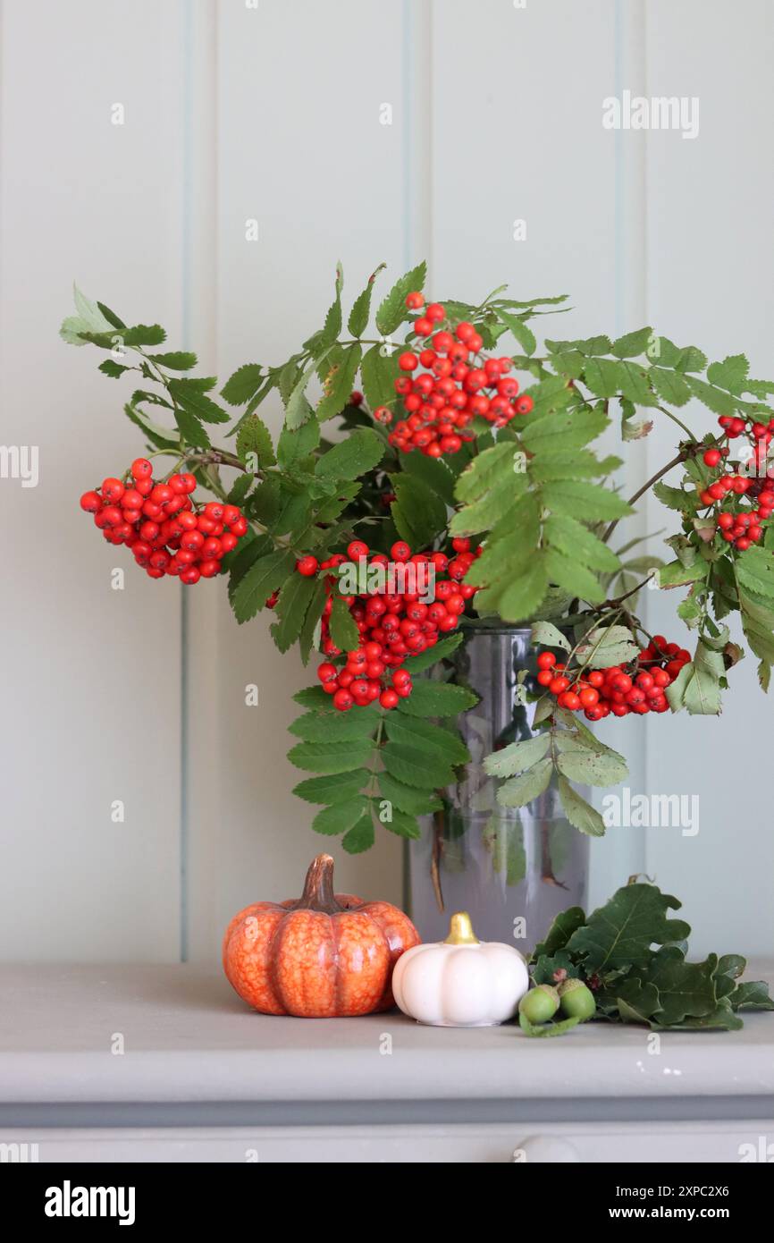 Herbststillleben mit rowan, dekorative Keramikkürbisse auf hellgrünem hölzernem Hintergrund. Dekorationen im Herbst. Stockfoto