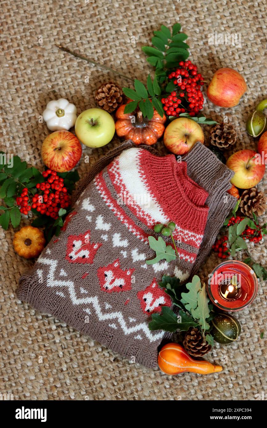 Stillleben im Herbst mit gestricktem braunem und rotem Pullover, Äpfeln, Beeren und Kerze auf Sacktuch Hintergrund. Herbstfüchse Strickmuster Nahaufnahme Foto. Stockfoto