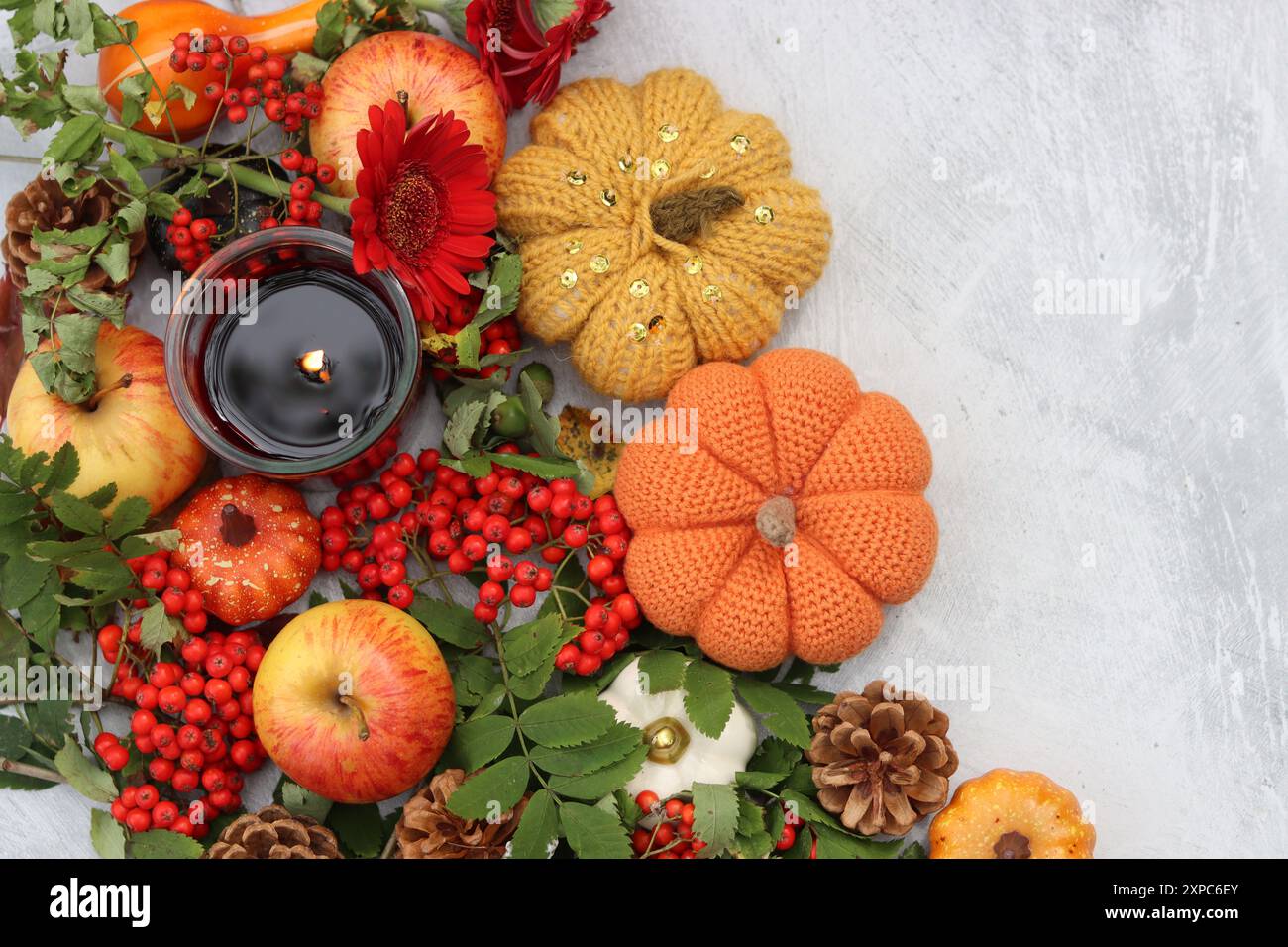 Äpfel, Kürbisse, Kegel, Blätter, vogelbeeren auf einem Tisch. Foto von oben mit Herbstkomposition. Erntesaison Konzept. Stockfoto