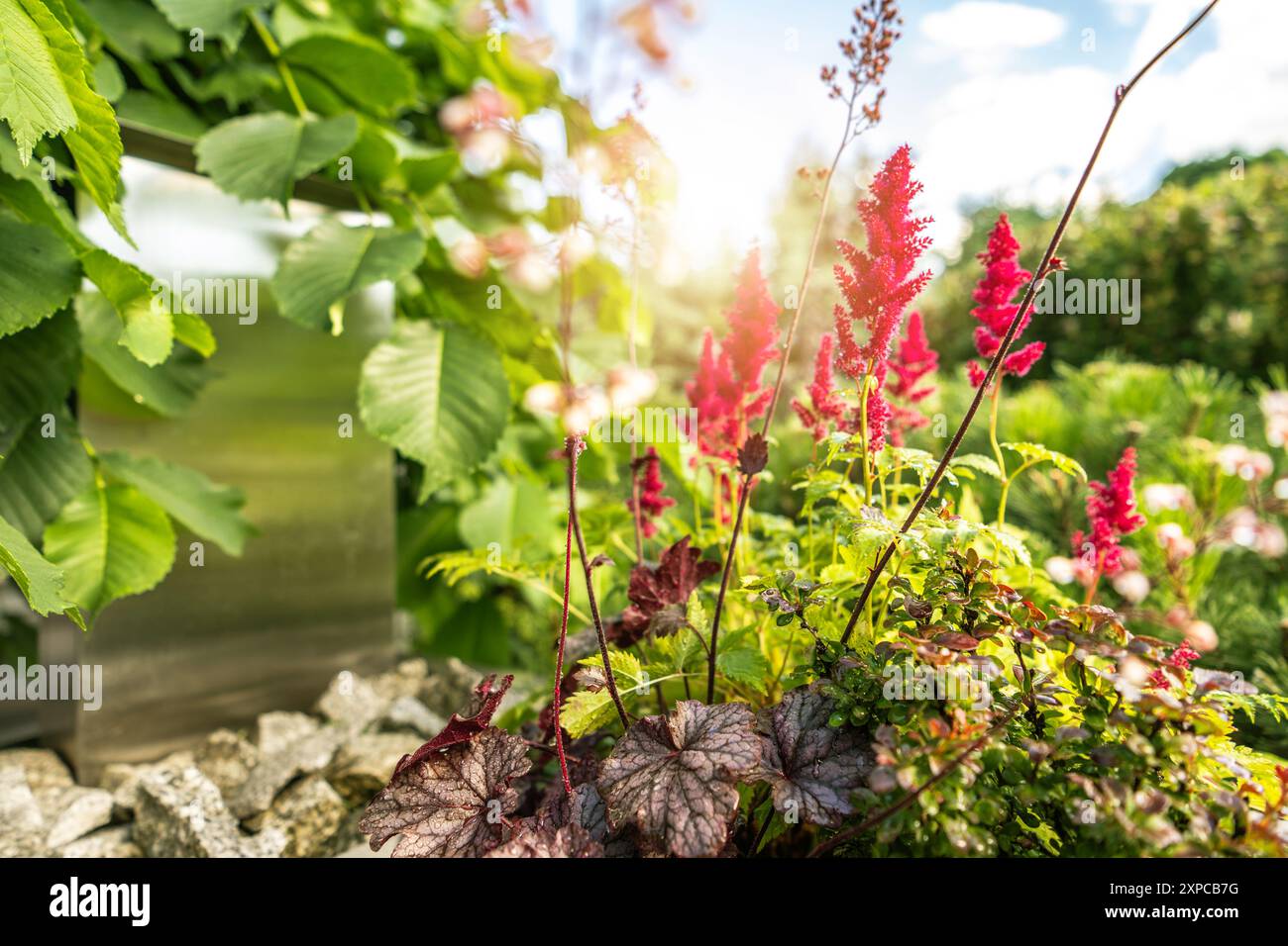 Farbenfrohe Blumen blühen in einem üppigen Garten, ergänzt durch eine Kulisse aus Grün und Sonnenlicht. Stockfoto
