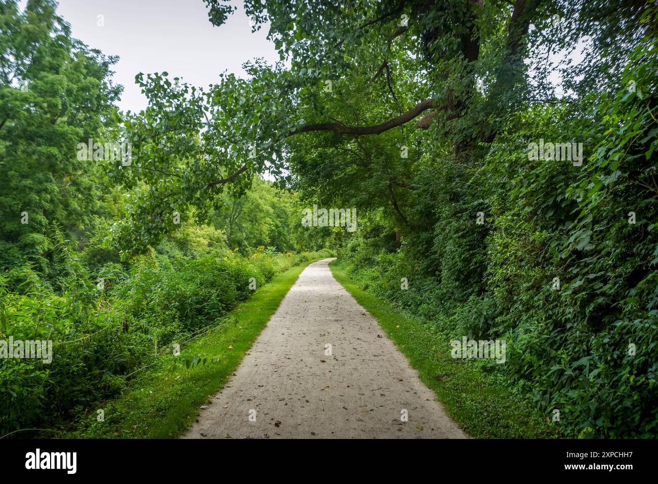 Der malerische Wanderweg im Wald des Cuyahoga Valley National Park in Cleveland, einer typischen Ohio Natur. Stockfoto