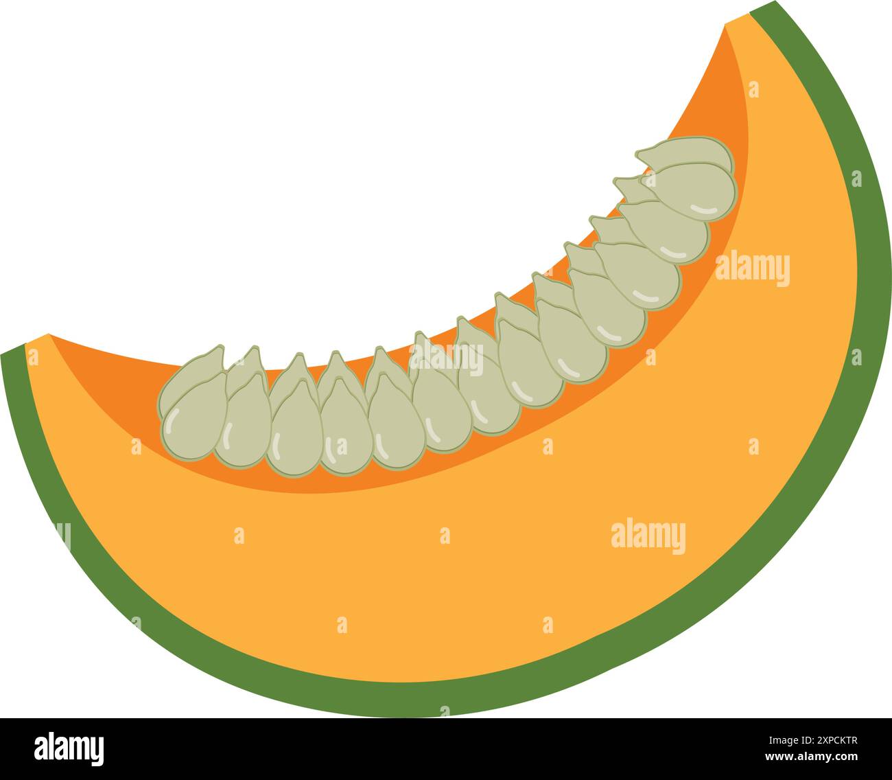 Kürbis-Cartoon-Vektor. Kürbis-Illustration. Dekorativer Kürbis, ganze und geschnittene Frucht schäbig Stock Vektor
