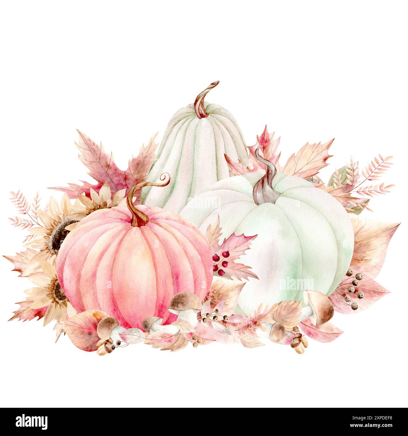Orange und weiße Kürbisse, Waldpilze, Sonnenblumen und Herbstblätter von Ahorn und Eiche auf weißem Hintergrund. Aquarellabbildung in warmen Farben. Die Zeichnung ist handgezeichnet. Geeignet für Karten, Einladungen und Textilien Stockfoto