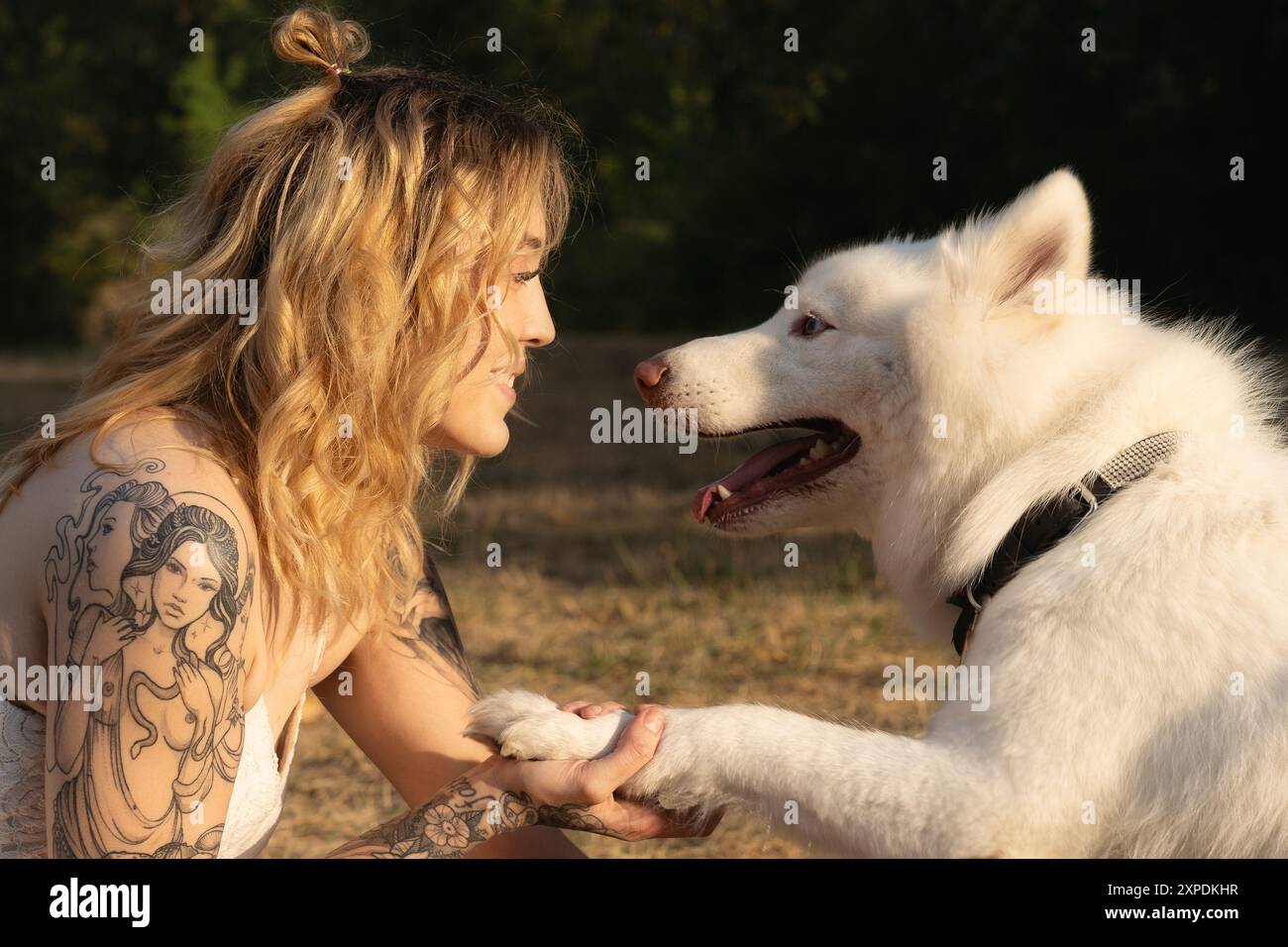 Eine Frau mit Tätowierungen auf dem Arm schüttelt die Hand mit ihrem weißen Samoyed Husky Hund Stockfoto