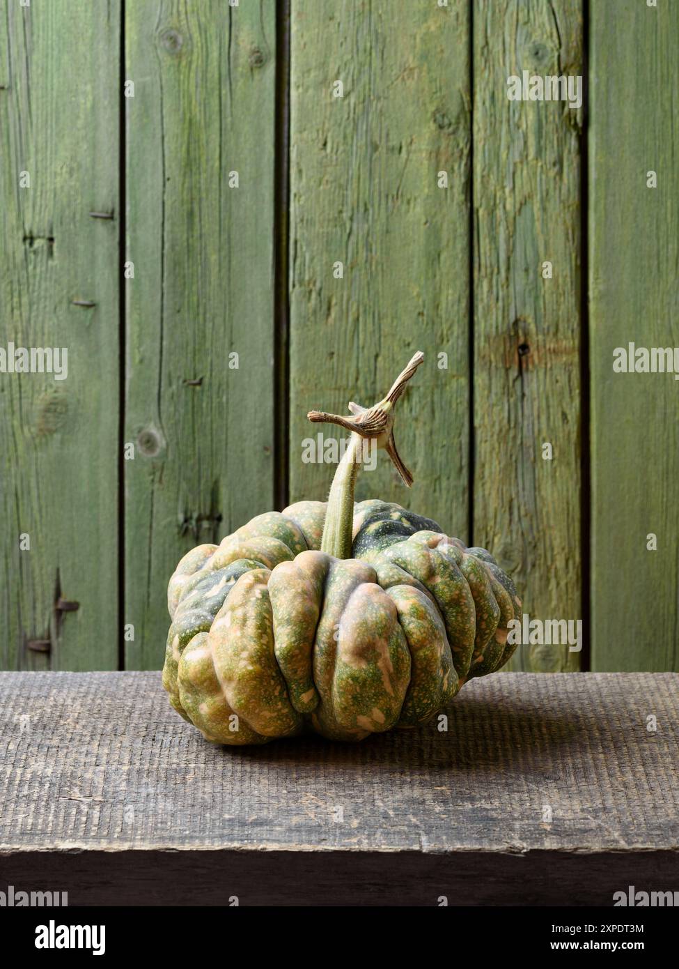 Chinesisches Erbstück Kürbis oder Winter Kürbis auf einem alten rustikalen Tisch mit grünem Hintergrund Stockfoto