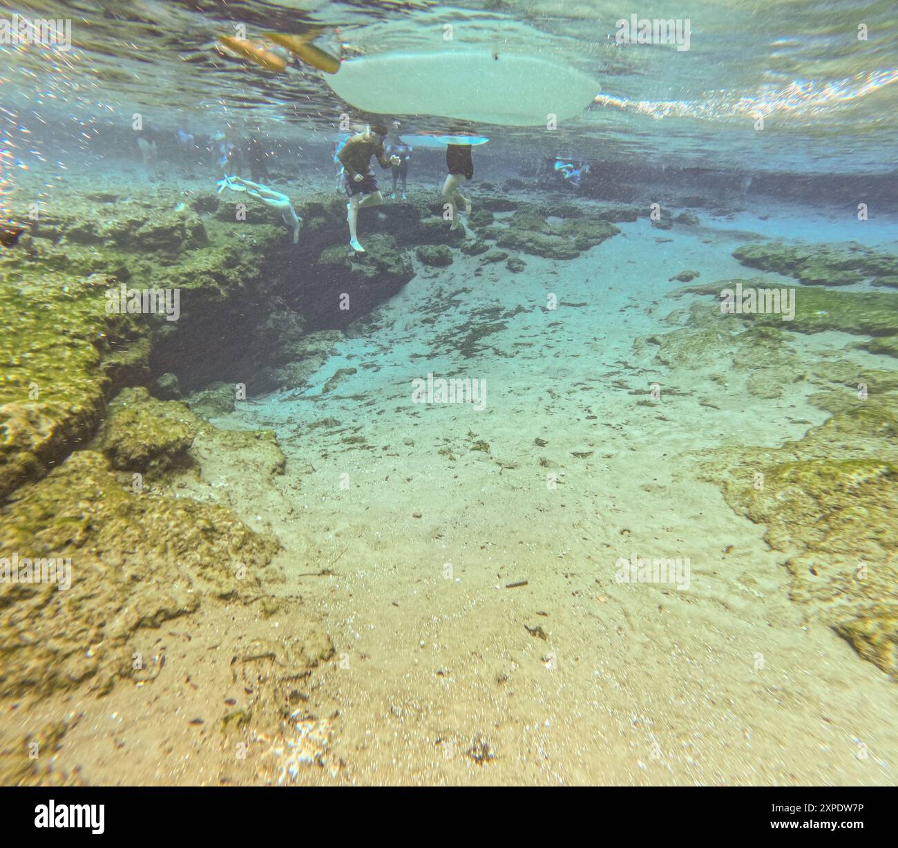 High Springs, FL, USA - 14. Juli 2024: Reiseziel Ginnie Springs Florida 2024 Stockfoto