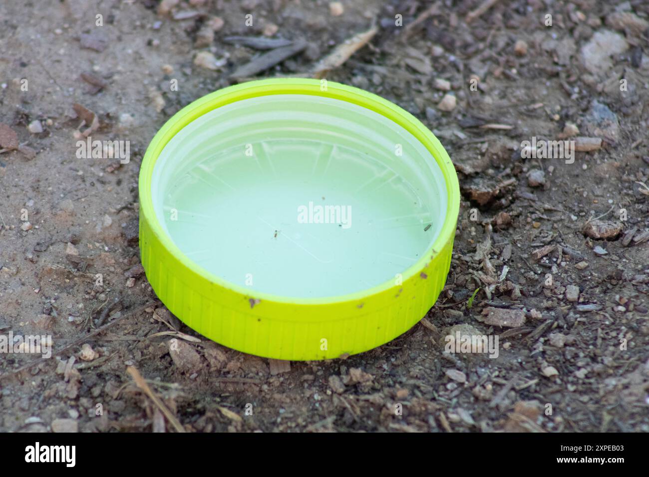 Drehen Sie den Deckel für die Oberseite des Behälters Stockfoto