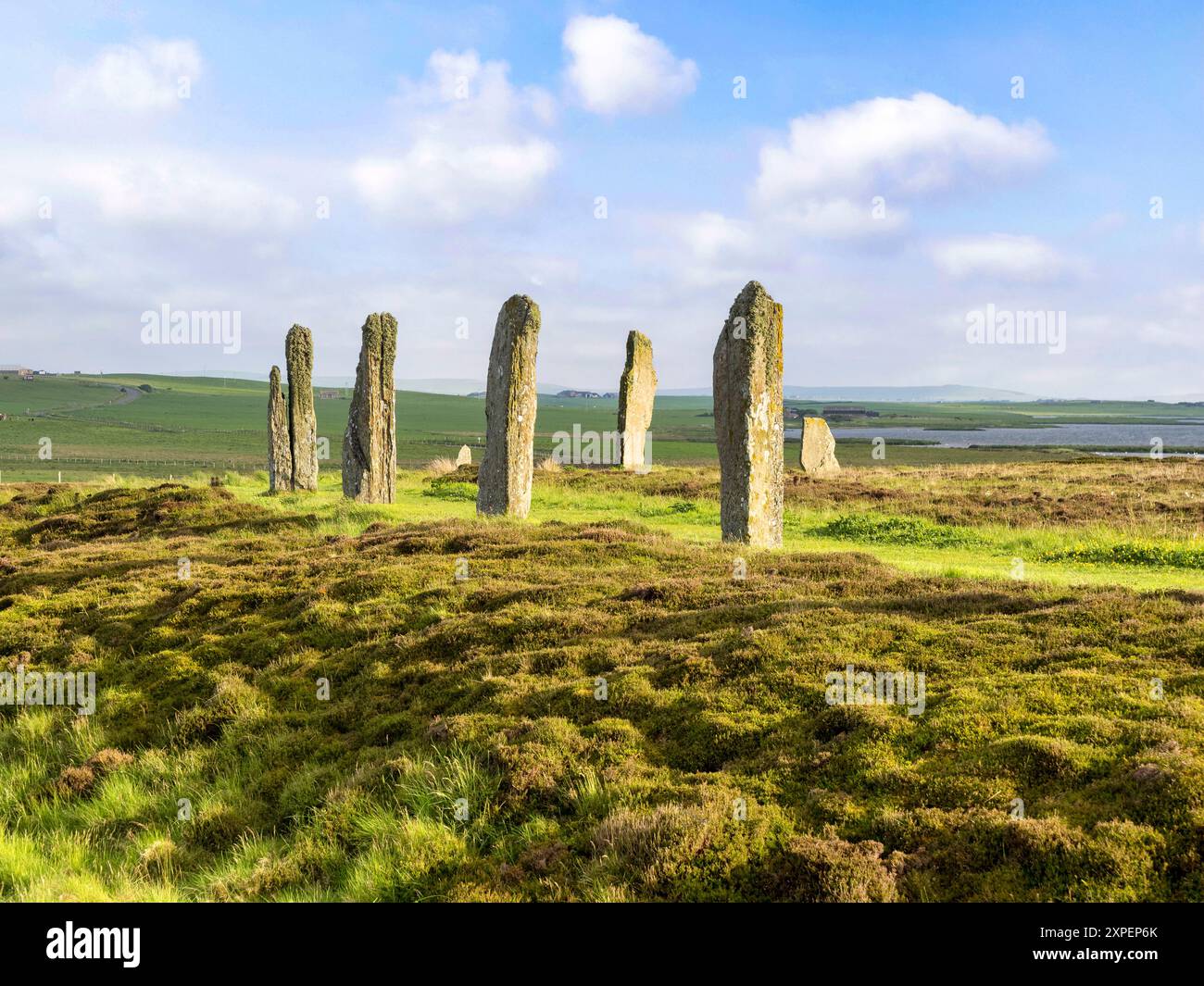 Ring of Brodgar – einige der 36 verbleibenden stehenden Steine, Teil des neolithischen Orkney. Stockfoto
