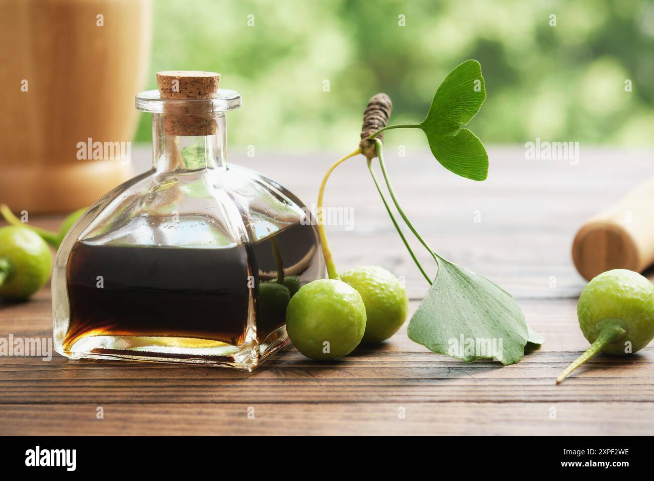 Flasche Ginkgo biloba Infusion, Tinktur oder Extrakt. Gesunde Ginkgo-Blätter und Früchte auf Holztisch im Freien. Alternative pflanzliche Medizin. Gesundheit Stockfoto