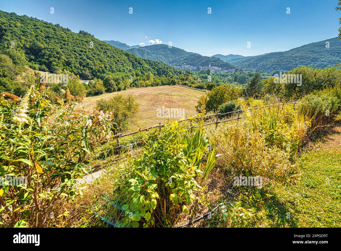 Ein ruhiger Rückzugsort auf der Landschaft: Eine bezaubernde Pergola mit üppigem Grün und leuchtenden Blumen vor dem Hintergrund sanfter Hügel Stockfoto