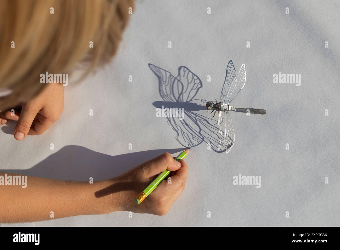 Das Kind konzentriert sich darauf, den kontrastierenden Schatten einer Spielzeug-Libelle auf Papier mit einem Bleistift nachzuzeichnen. Kreative Ideen für die Kreativität von Kindern, Spiele mit s Stockfoto