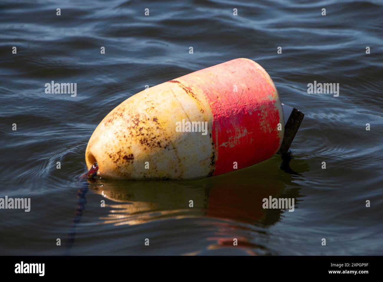 Nahaufnahme einer verwitterten Boje, die mit roten und gelben Streifen markiert ist, schwimmt sanft auf ruhigem Wasser und ist an einen Navigations- oder Sicherheitsbereich gebunden. Stockfoto