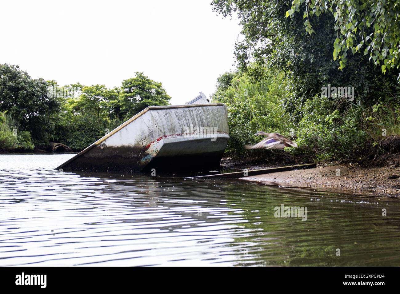 Ein altes, teilweise untergetauchtes Boot liegt auf einem Flussufer und lehnt sich an das schlammige Ufer. Das Gebiet ist von dichtem Grün umgeben, mit Bäumen, die den Fluss säumen Stockfoto