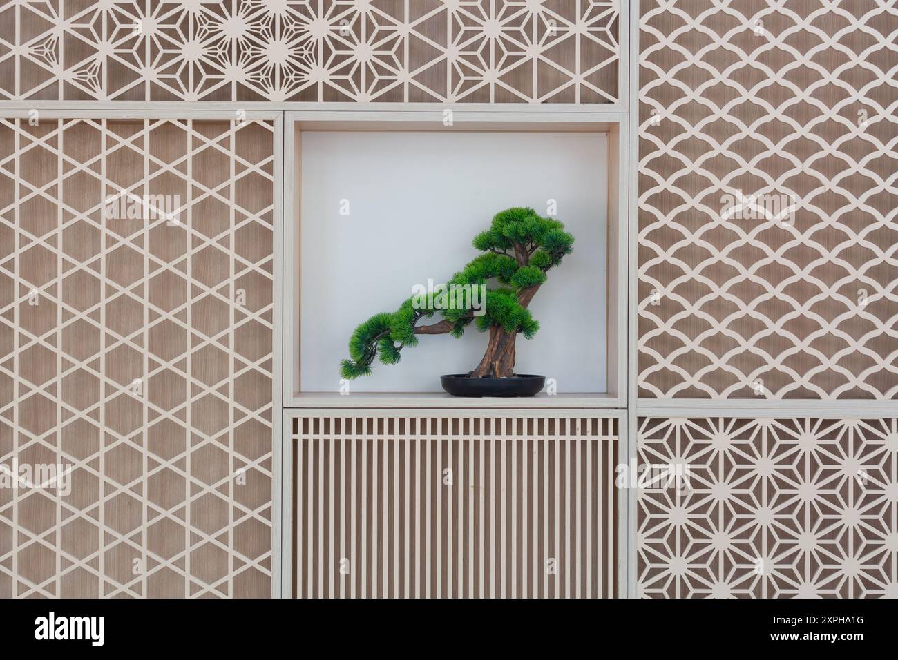 Getrimmte Position der Bonsai-Anlage in einem quadratischen Format, umgeben von verschiedenen Hintergrunddesigns. Minimalistischer Zen-Stil. Fach Stockfoto