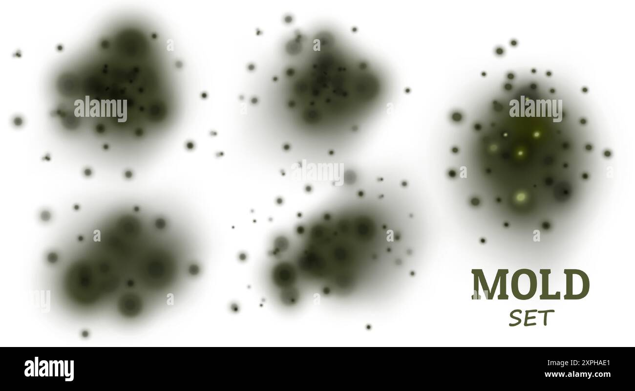 Wählen Sie Schwarzes Werkzeug. Pilz, die Wand einer Wohnung, ein Haus, giftige Sporen. Toxische gesundheitliche Auswirkungen. Stelle in der Mitte auf hellem Hintergrund. Vektor-Re Stock Vektor