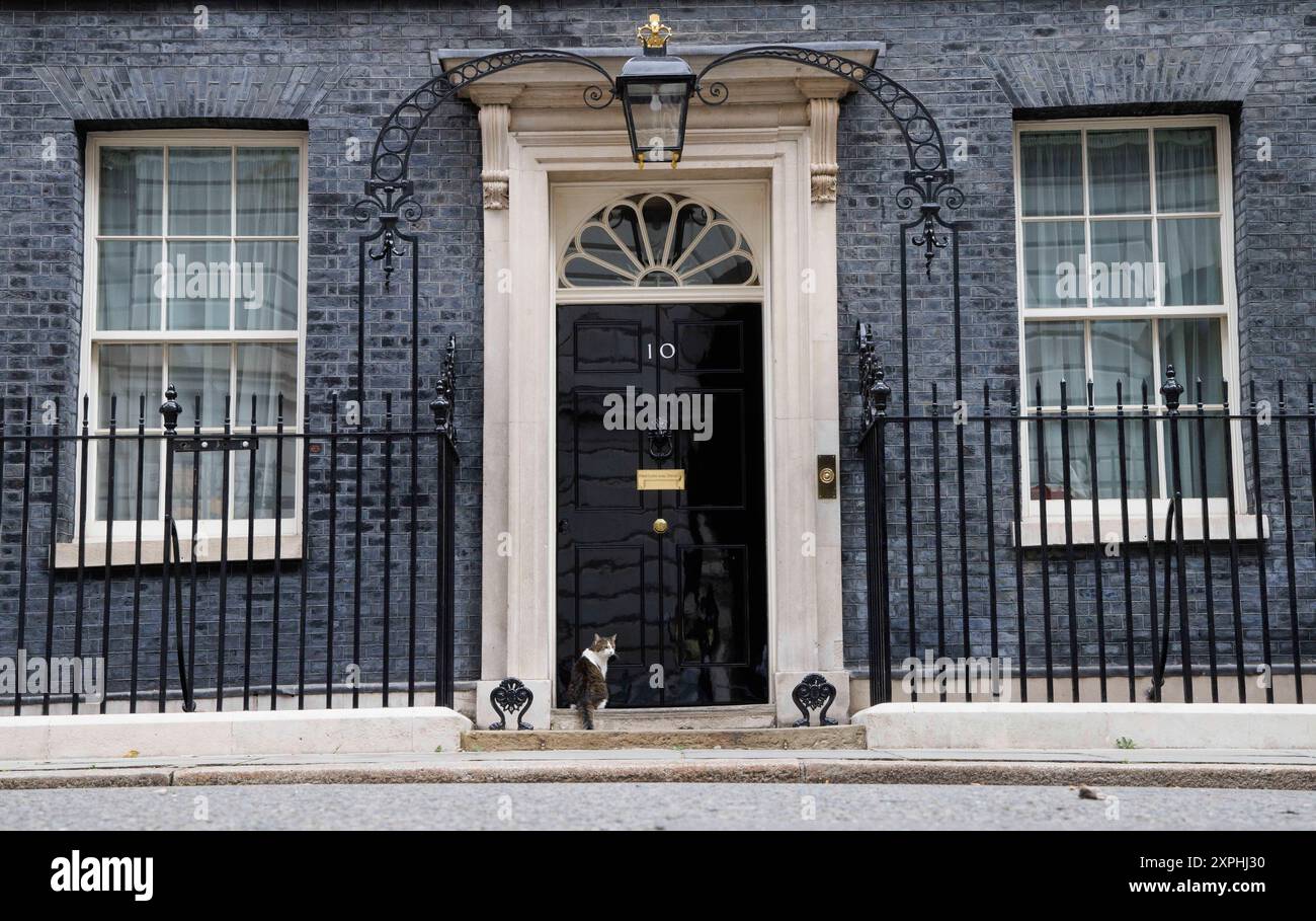 London, Großbritannien. August 2024. Larry the Cat, Chief Mouser zum Kabinettsbüro an der Tür von Nummer 10. Quelle: Mark Thomas/Alamy Live News Stockfoto