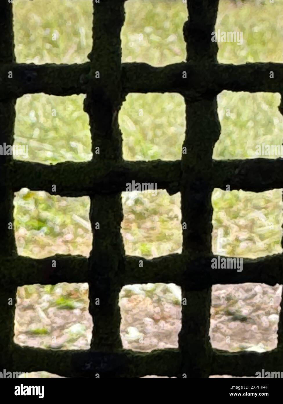 Grünes Gras durch ein rostiges Metallgitter. Nahaufnahme. Stockfoto