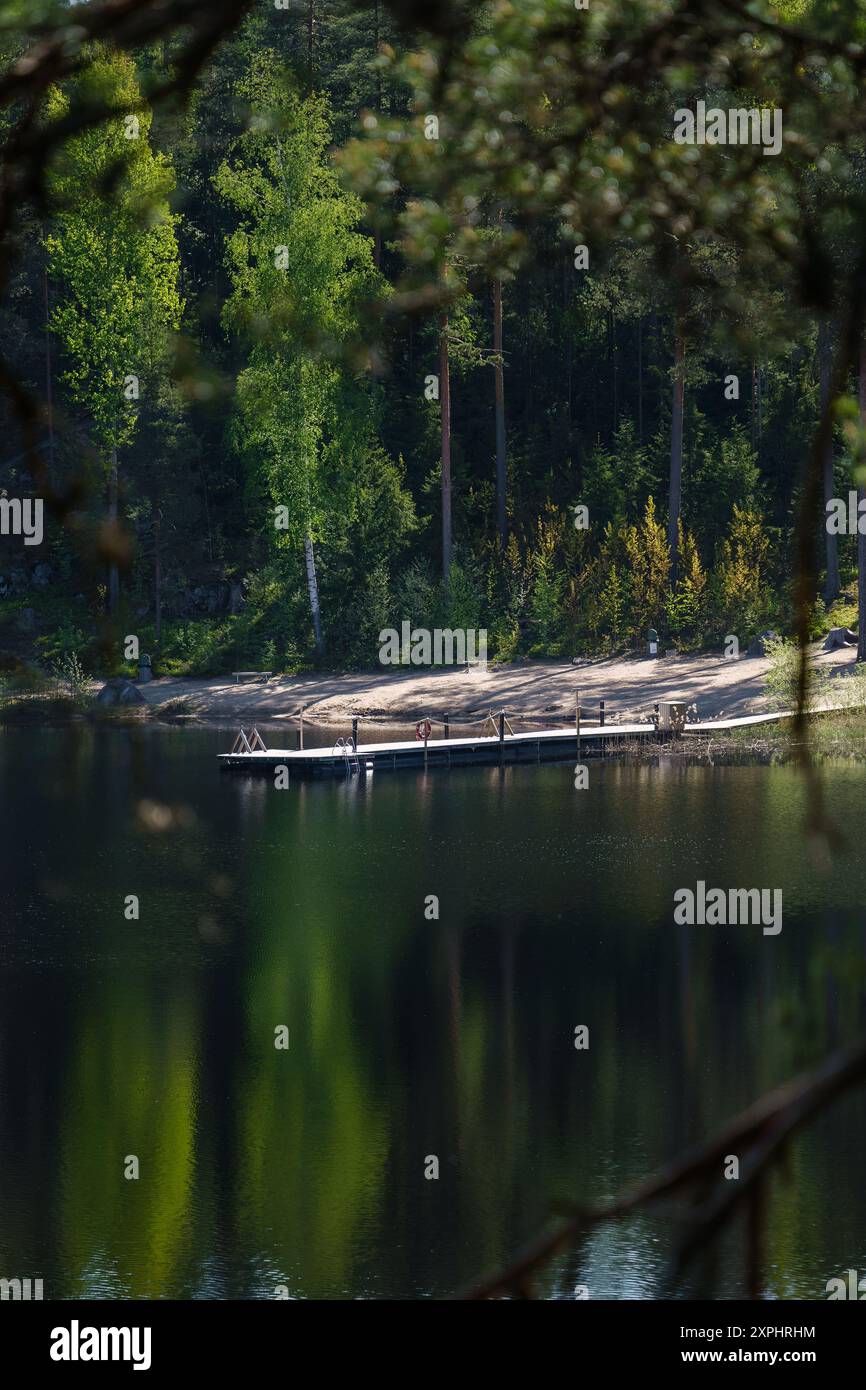 Holzdock an einem Waldsee an einem ruhigen Sommermorgen Stockfoto