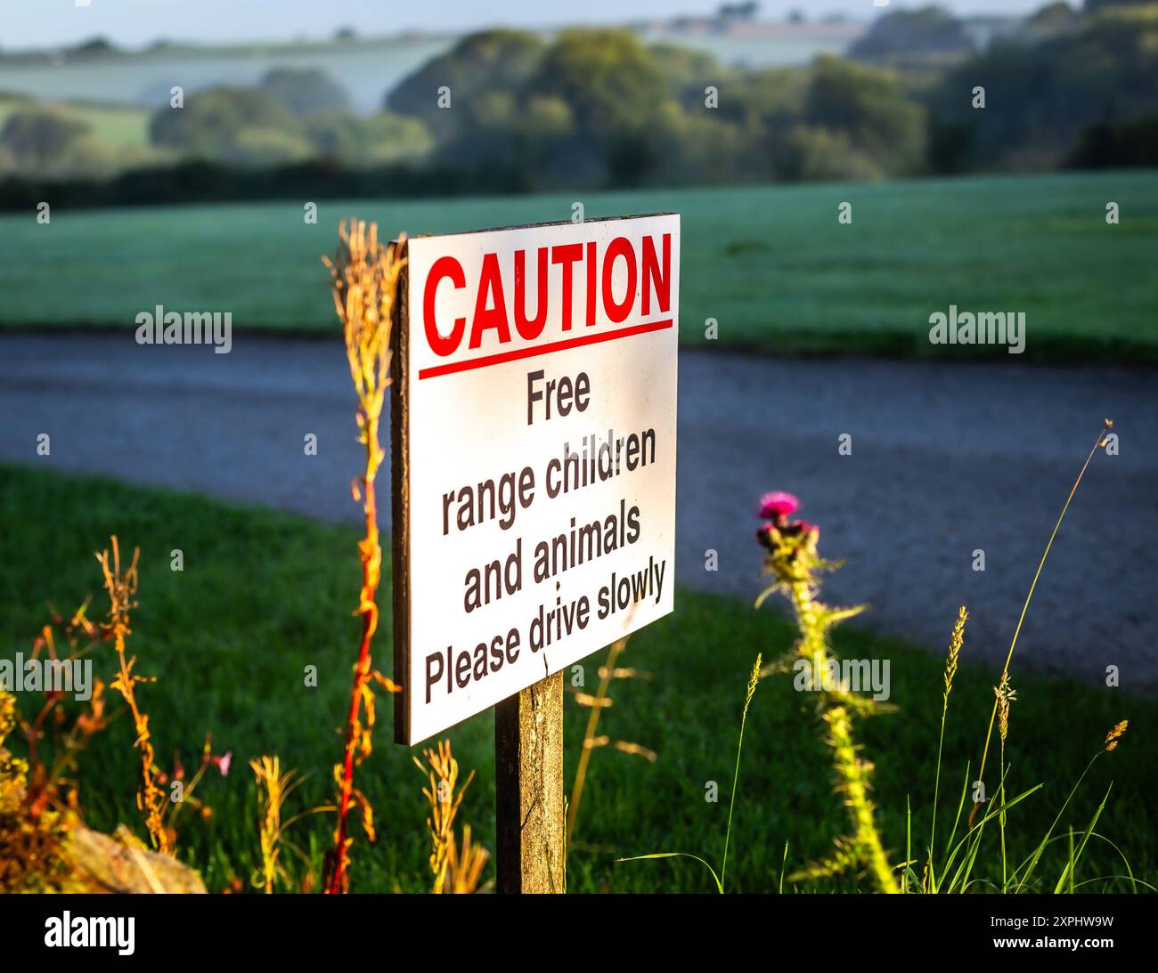 Komisches Schild auf einer Landstraße in Cornwall, England, Großbritannien. Kinder In Freier Reichweite! Stockfoto