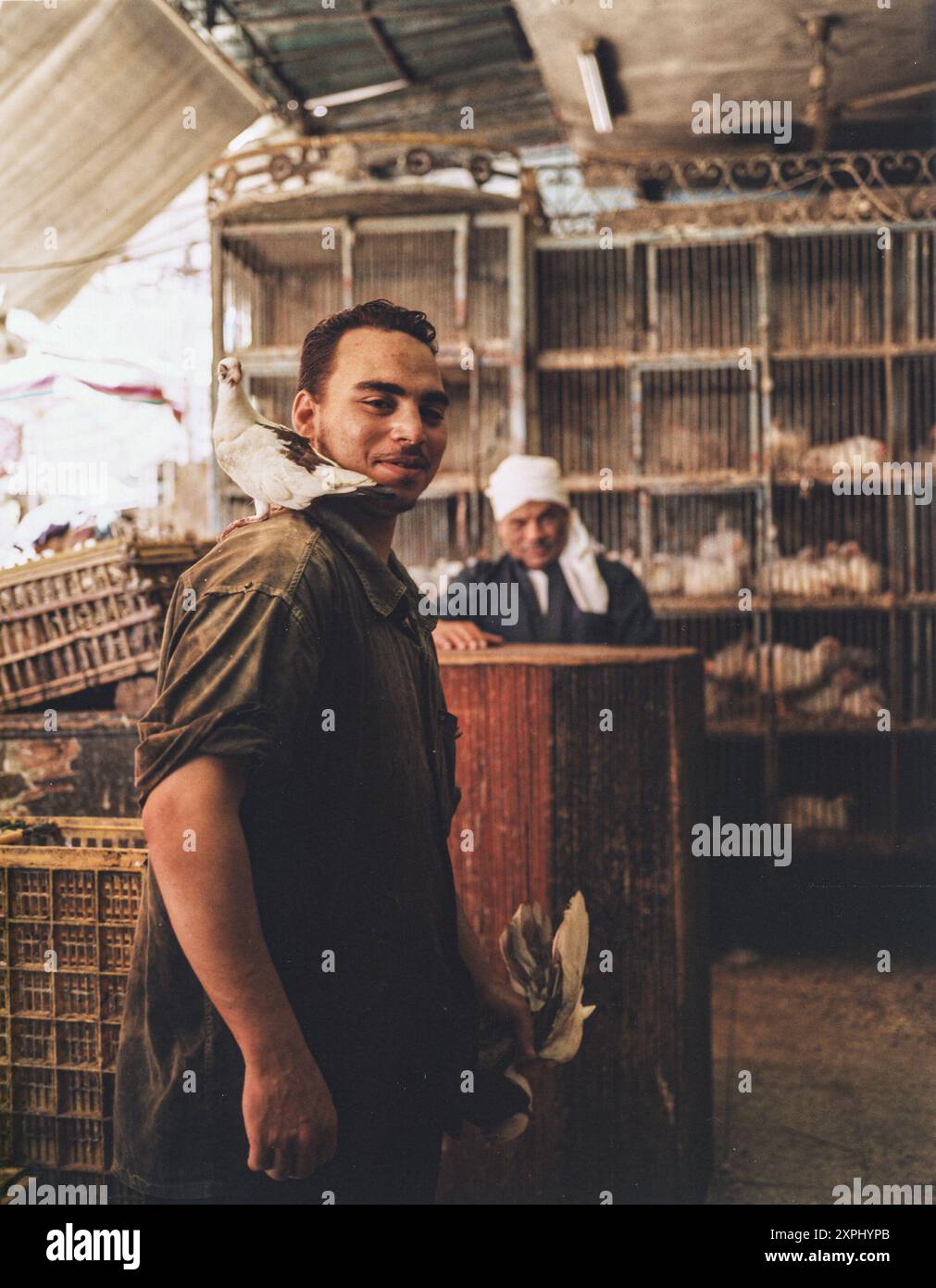 Ein junger Mann steht mit einer Taube auf der Schulter auf einem geschäftigen Markt in Alexandria. Die Szene fängt das pulsierende Leben des Marktes und die Verbindung zwischen Mensch und Tier ein. Foto aus dem Jahr 2006. Stockfoto