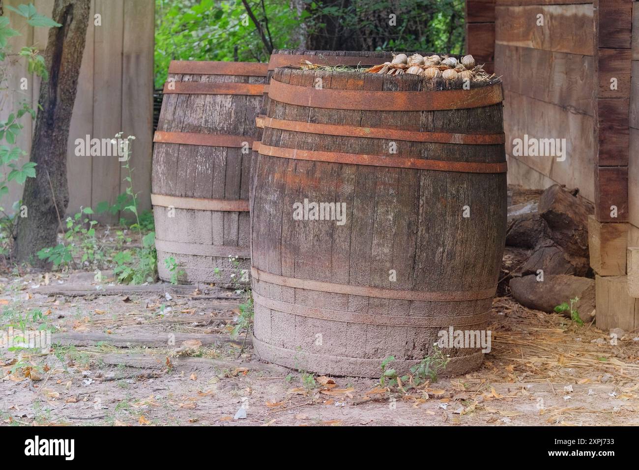 Altes Fass mit grünem Gartenhintergrund. Vintage-Rostfässer. Stockfoto