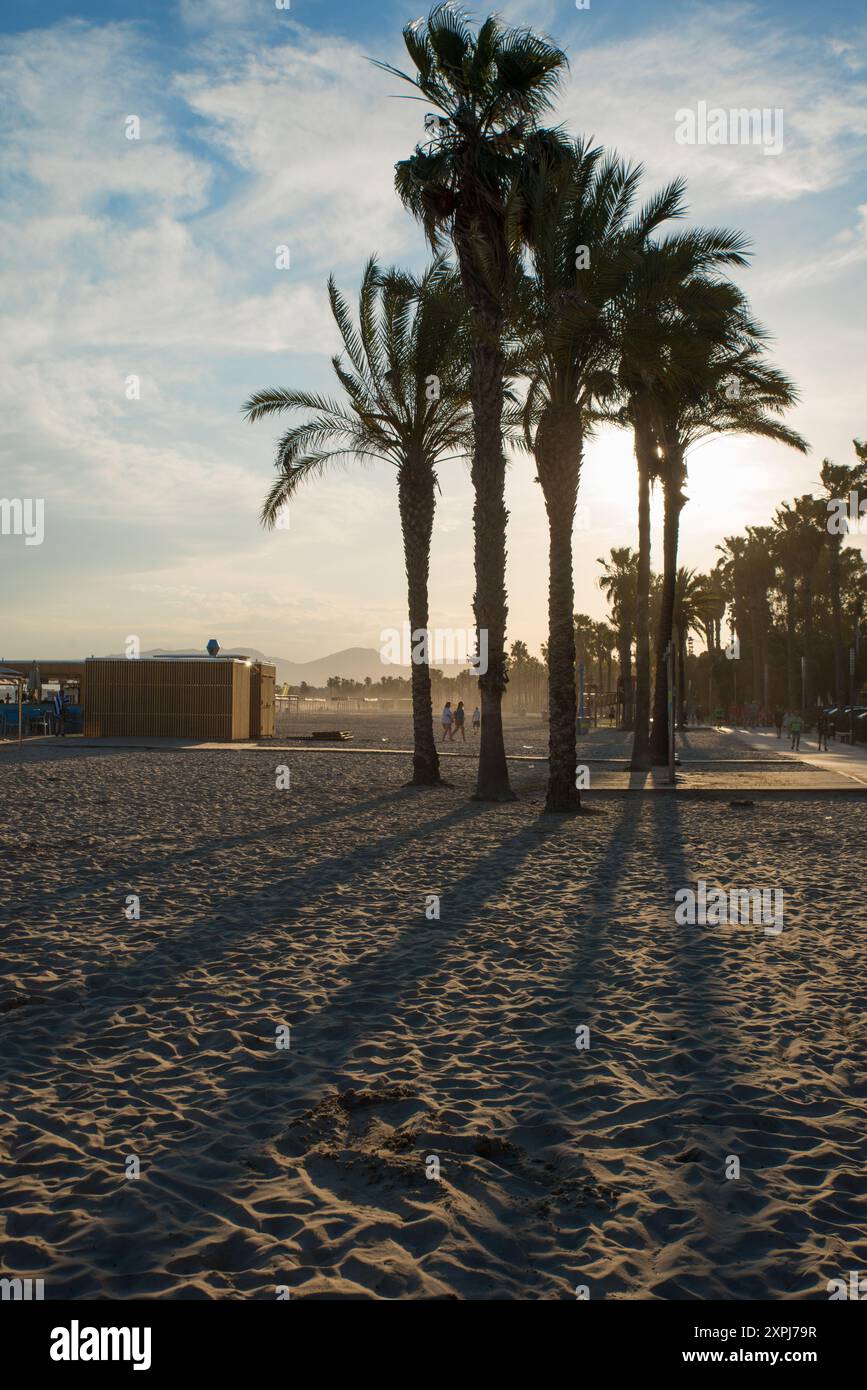 Die Abendsonne wirft lange Schatten von Palmen am Strand in Salou, Costa Dorada, Spanien Stockfoto