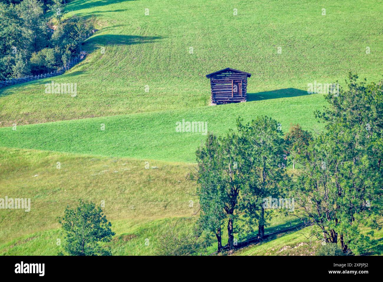 Heuscheune auf einer Almweide Stockfoto