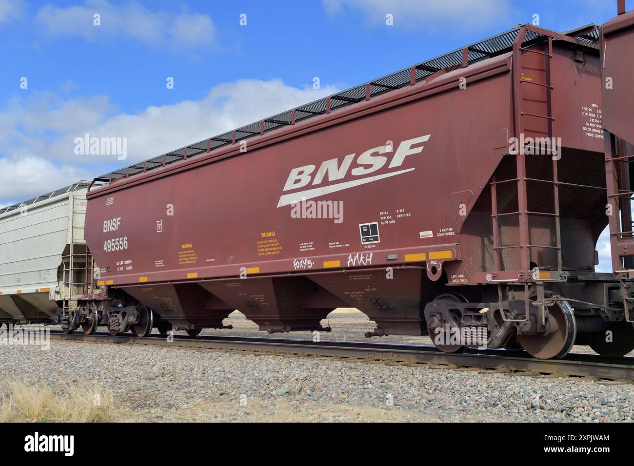 Shabbona, Illinois, USA. Ein Auto in einem sehr langen Burlington Northern Santa Fe Getreidezug, während er durch das ländliche Illinois fährt. Stockfoto