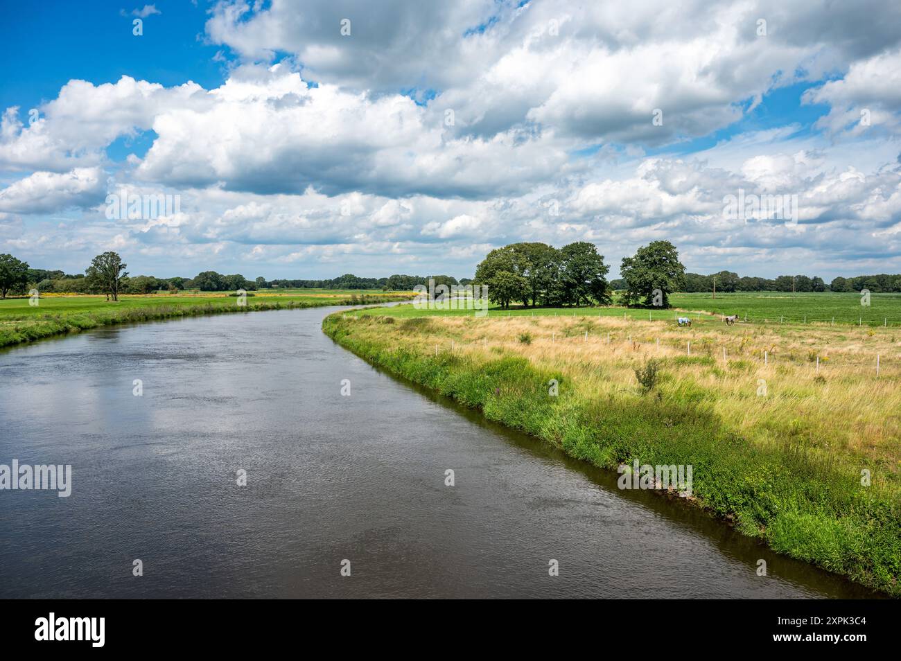 Grüne Ufer des Dortmunder Ems-Kanals um Geeste-Dalum, Niedersachsen Stockfoto