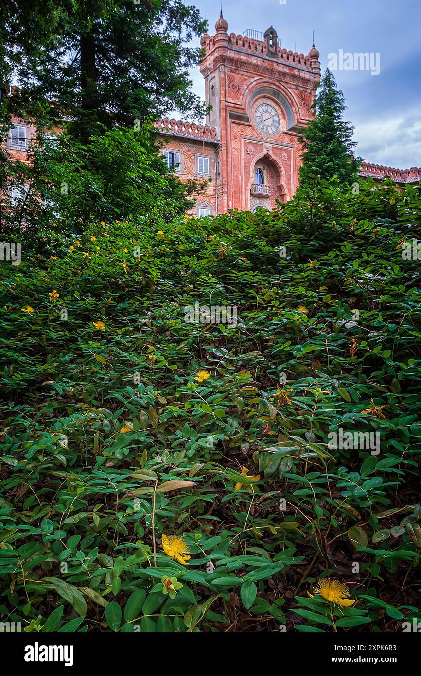 Rose of Sharon oder Johanniskraut (Hypericum calycinum). Park von Schloss Sammezzano. Toskana, Italien Stockfoto