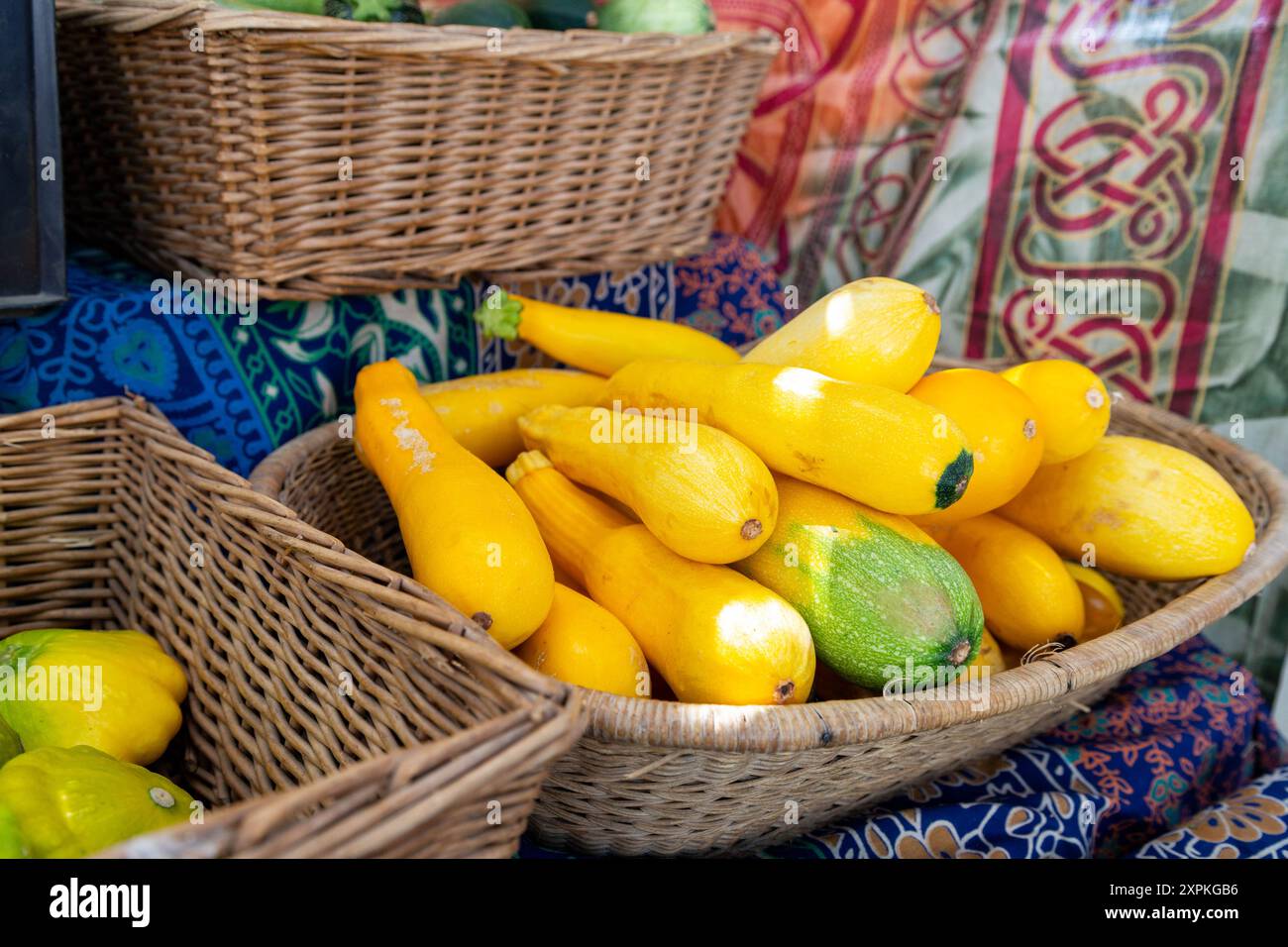 Eine Gruppe gelber Zucchinis in einem Marktstand am Trout Lake Farmer's Market, British Columbia Stockfoto