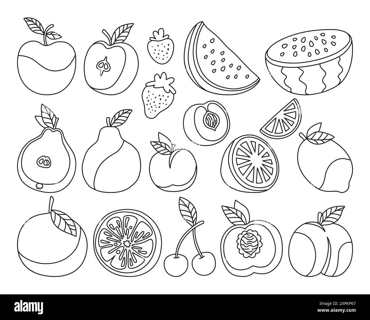 Früchte oder Beeren Kritzeleien-Set. In Scheiben geschnittene lineare Zitrusfrüchte, Zitrusorange, Apfel, Birne, Wassermelonen-Pfirsichfrüchte, trendige Outline-Kunst. Saftige Erdbeere Pflaumenkirsche Doodle gezeichnet. Vegan Vektor-Illustration Stock Vektor