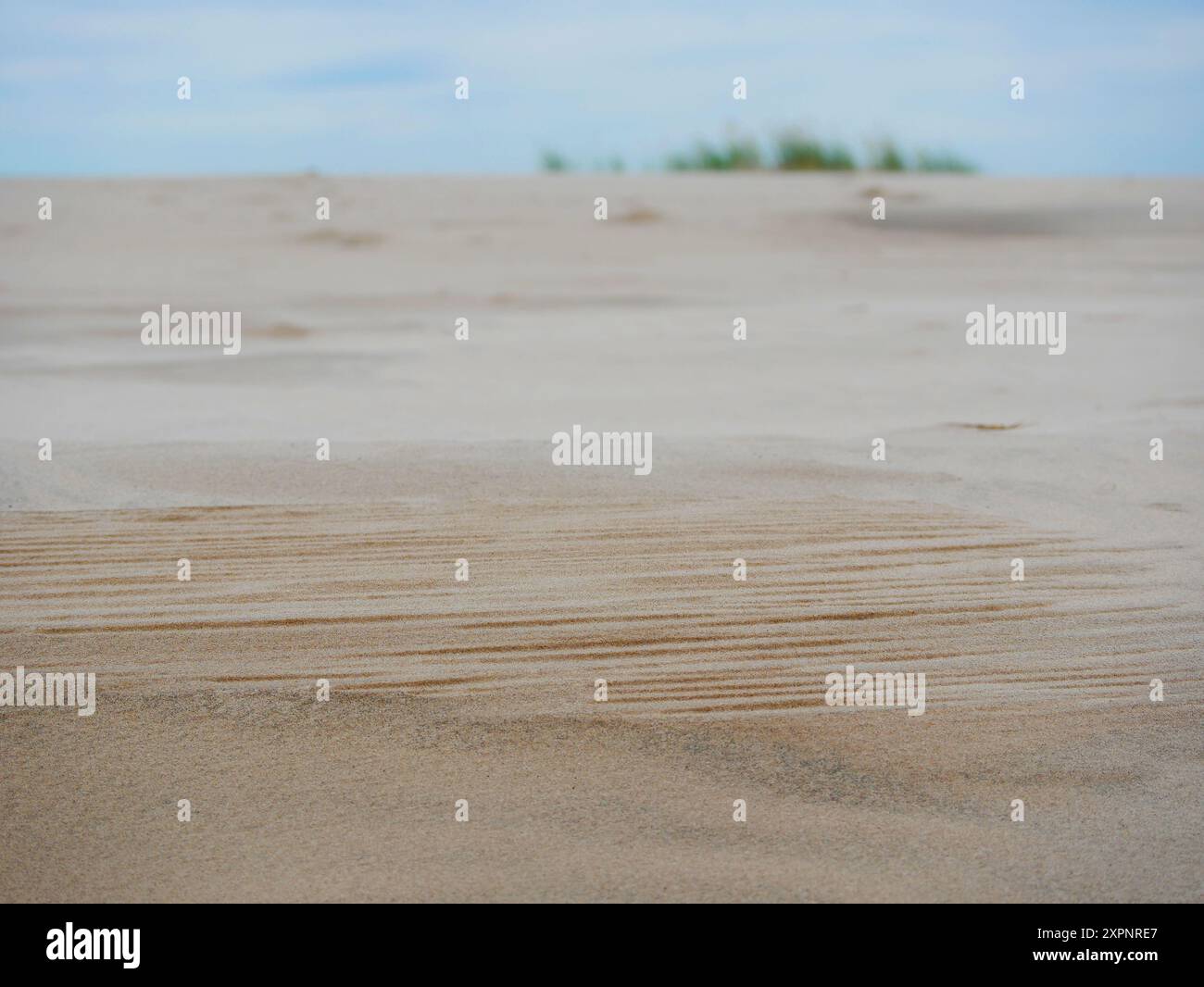 Rabjerg Mile - wandernde Küstendüne in der Nähe von Skagen, Dänemark. Wellen auf dem Sand, Nahaufnahme Sandmuster. Stockfoto