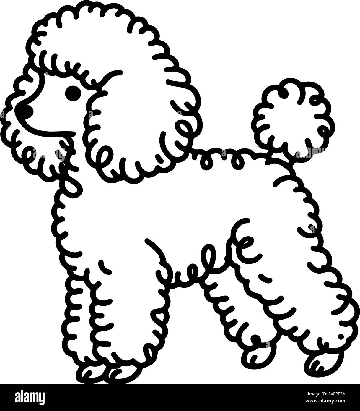 Ein Pudel mit einem lockigen Schwanz und einem süßen Gesicht. Der Pudel steht auf und schaut in die Kamera Stock Vektor