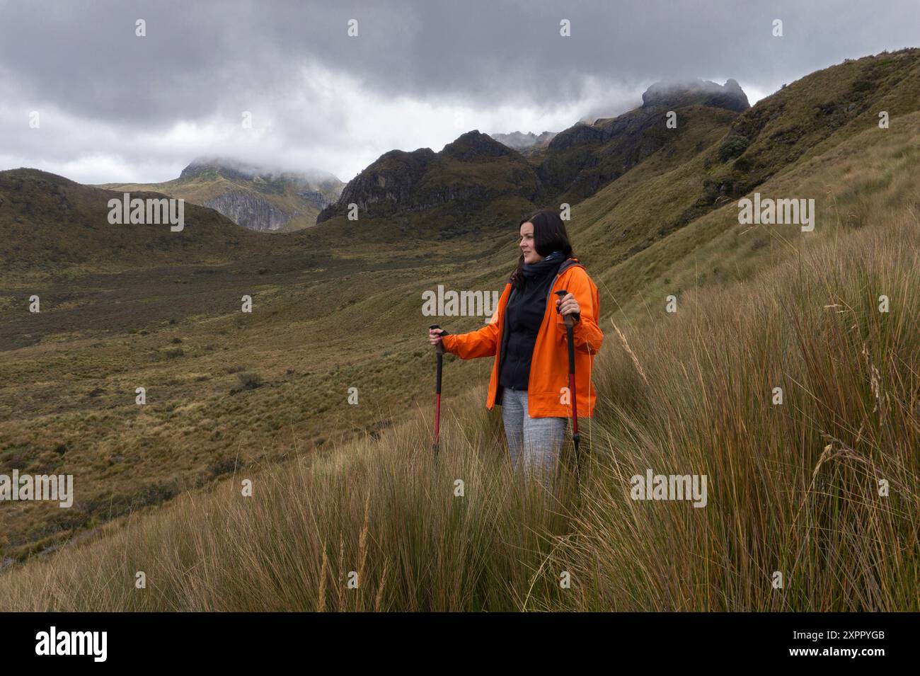 Schöne junge Frau in roter Jacke, die mit Trekkingstöcken mitten im Moor mit Bergen im Hintergrund an einem bewölkten Tag spaziert Stockfoto