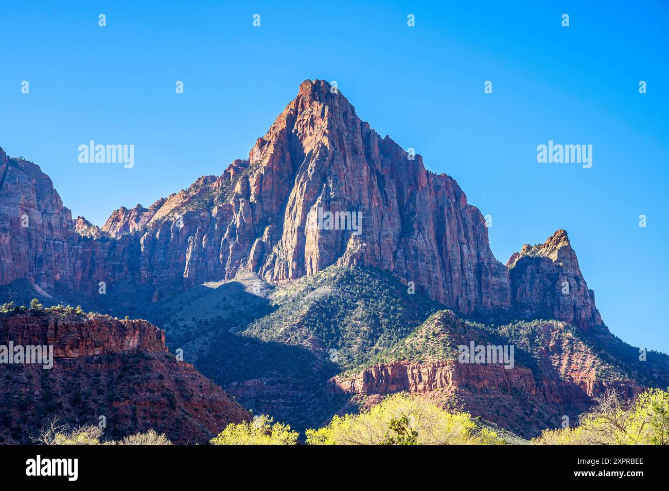 Watchman Mountain, Zion National Park, Utah, USA, USA Stockfoto