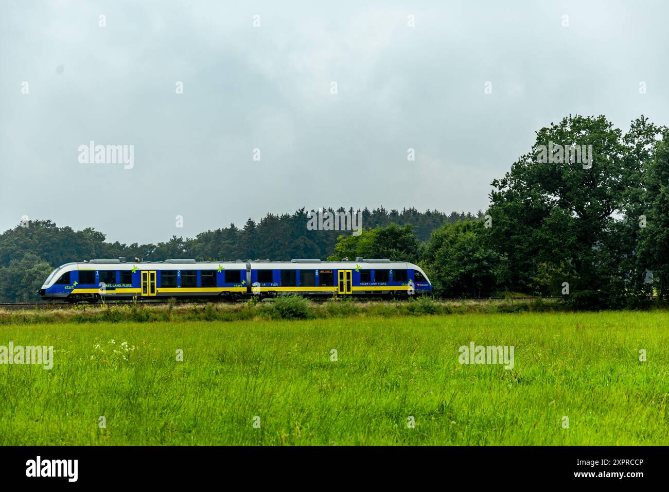 Eine wunderbare Wanderung durch die einzigartige und farbenfrohe Landschaft der Osterheide - Bispingen - Niedersachsen - Deutschland Stockfoto