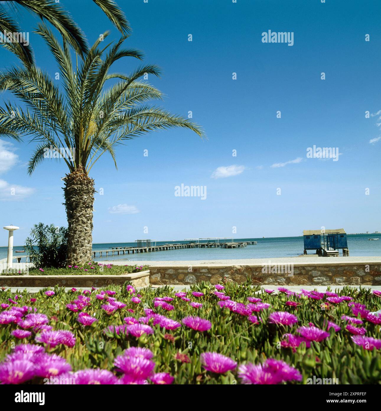 Strand, Santiago De La Ribera, Mar Menor, Provinz Murcia, Spanien Stockfoto